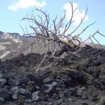 Ausbruch 2002 Krater Vulkan Ausflug Wandern