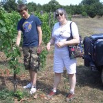 Ausflug zum Weingut Vino Etna Ätna Catania Urlaub
