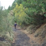 Wandern auf dem Ätna Ätna Ausflüge Etna mit Jeep