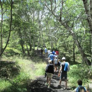 Etna Trekking