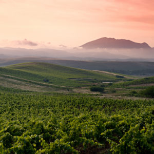 Etna und Wein Tour