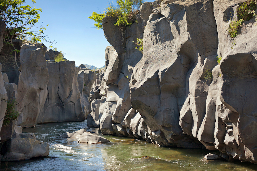 Entdecken Sie „Mojo Alcantara“ GoEtna