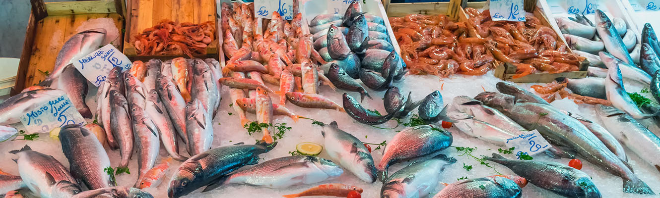Catania Fish Markt