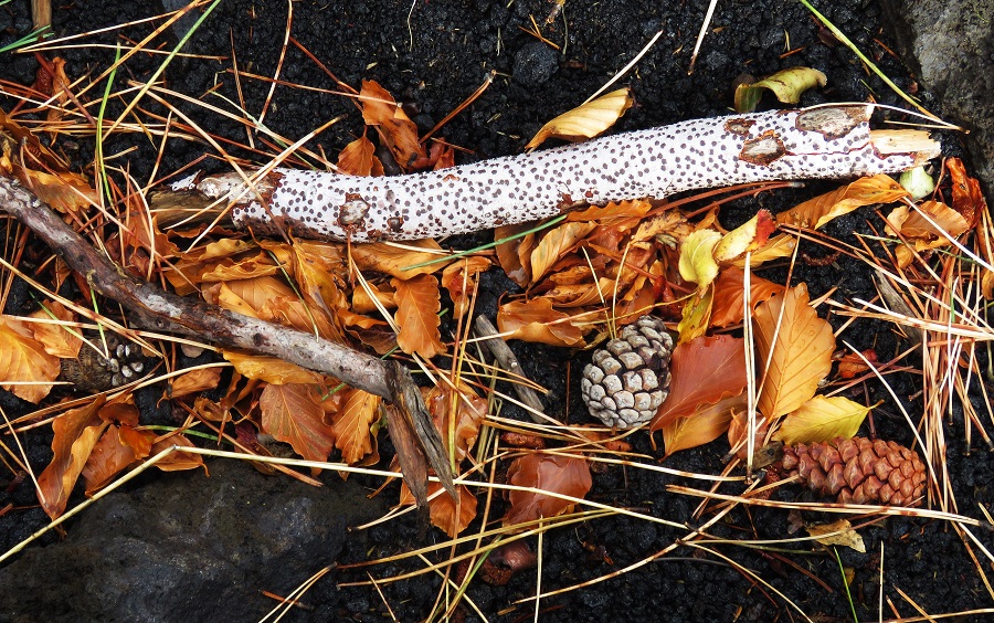 Ätna im Herbst