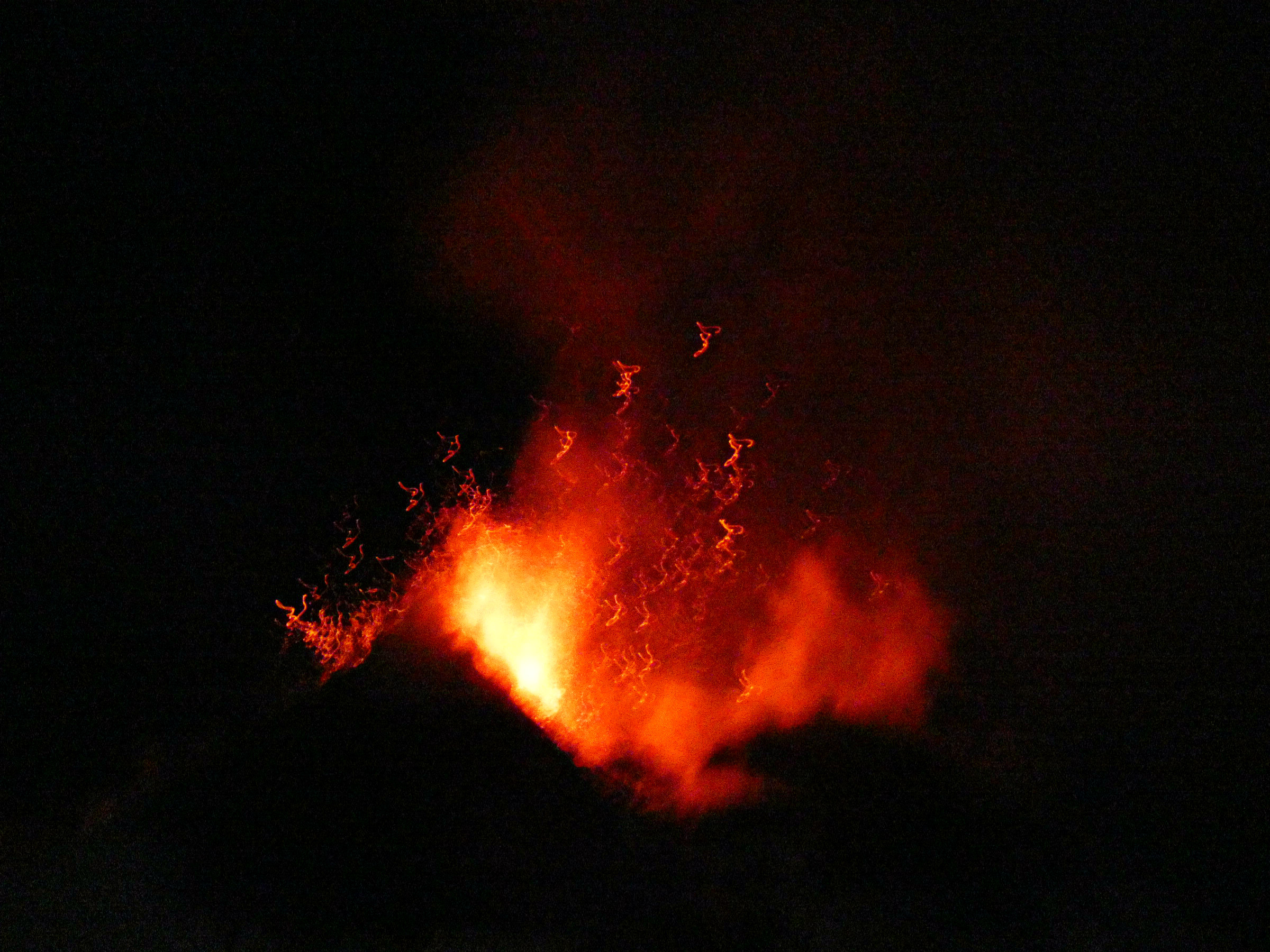 P1010478